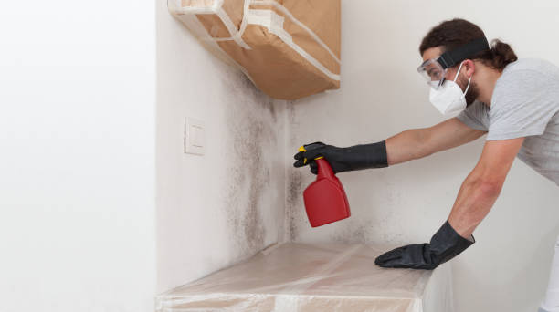 Professional Bathroom Mold Removal technician working in Plainsboro, NJ