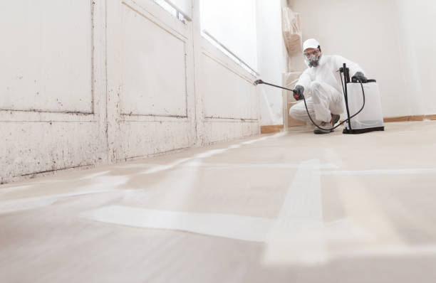 24/7 Emergency Bathroom Mold Removal experts in Plainsboro, NJ