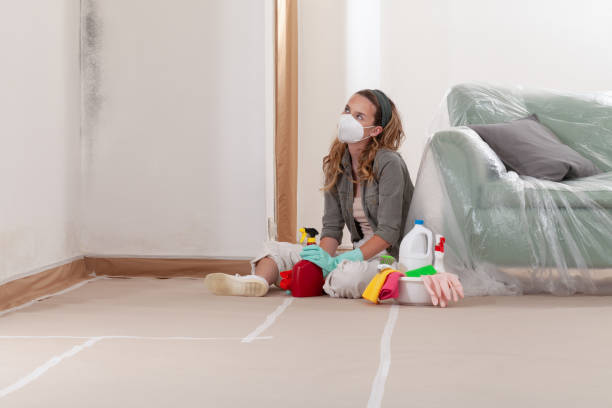 Reliable Bathroom Mold Removal contractor in Plainsboro, NJ by 24 Hour Mold Removal